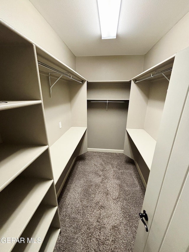 walk in closet featuring carpet