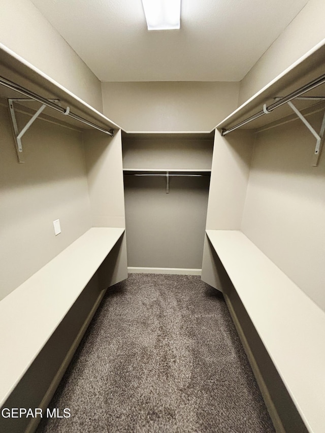 walk in closet with carpet flooring