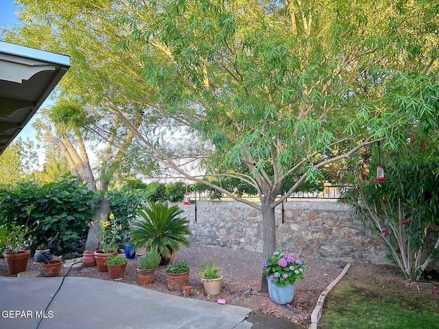 view of yard featuring a patio area and fence