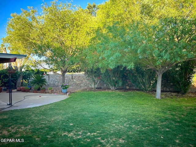 view of yard with a fenced backyard and a patio