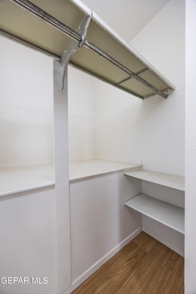 spacious closet featuring wood finished floors