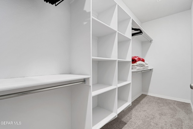 walk in closet featuring carpet flooring