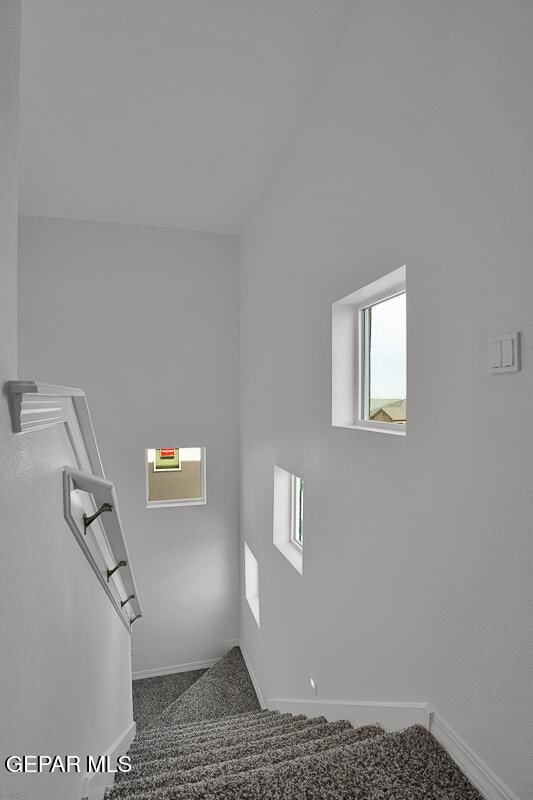 stairs with baseboards and carpet