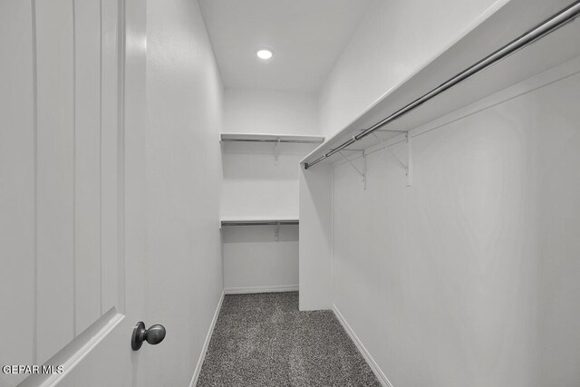 spacious closet with carpet floors