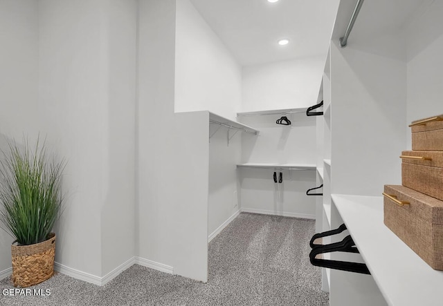 view of spacious closet