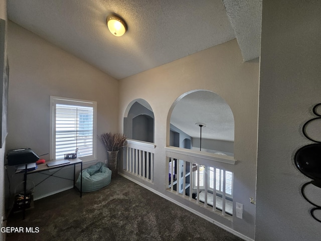 interior space featuring built in shelves, a textured ceiling, carpet, and vaulted ceiling