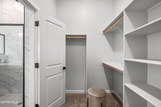 walk in closet with carpet floors