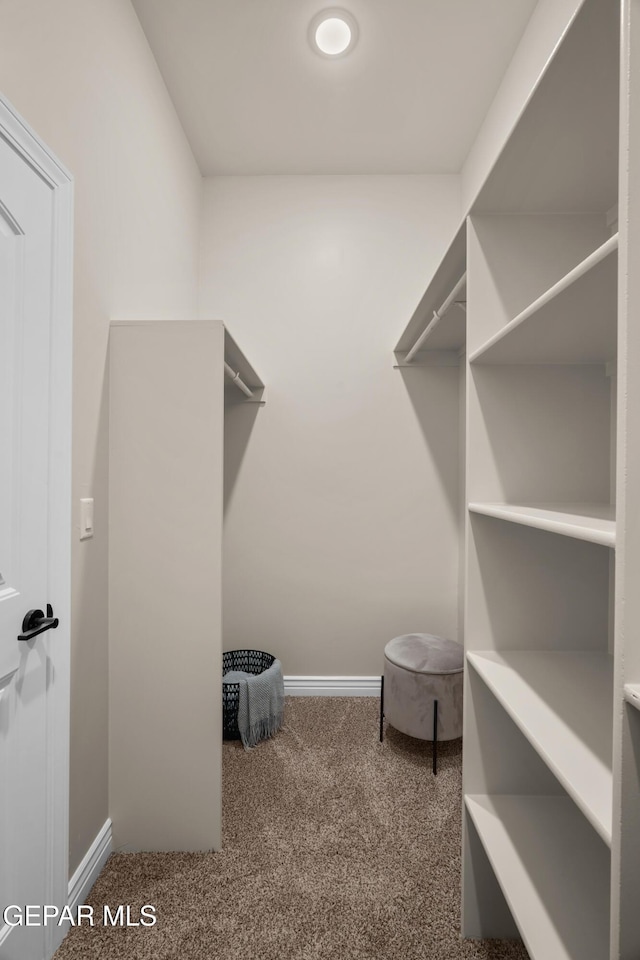 walk in closet with carpet flooring