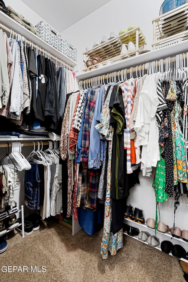 spacious closet with carpet