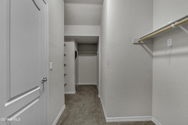 walk in closet featuring dark colored carpet