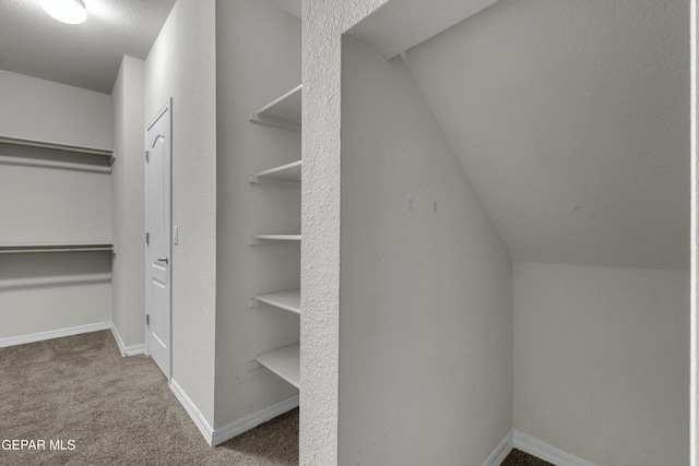 walk in closet with lofted ceiling and carpet flooring