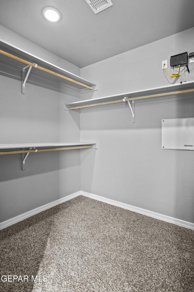 spacious closet featuring visible vents and carpet floors