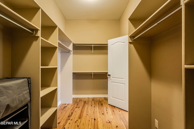 walk in closet with light wood-type flooring