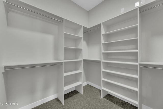 spacious closet with carpet