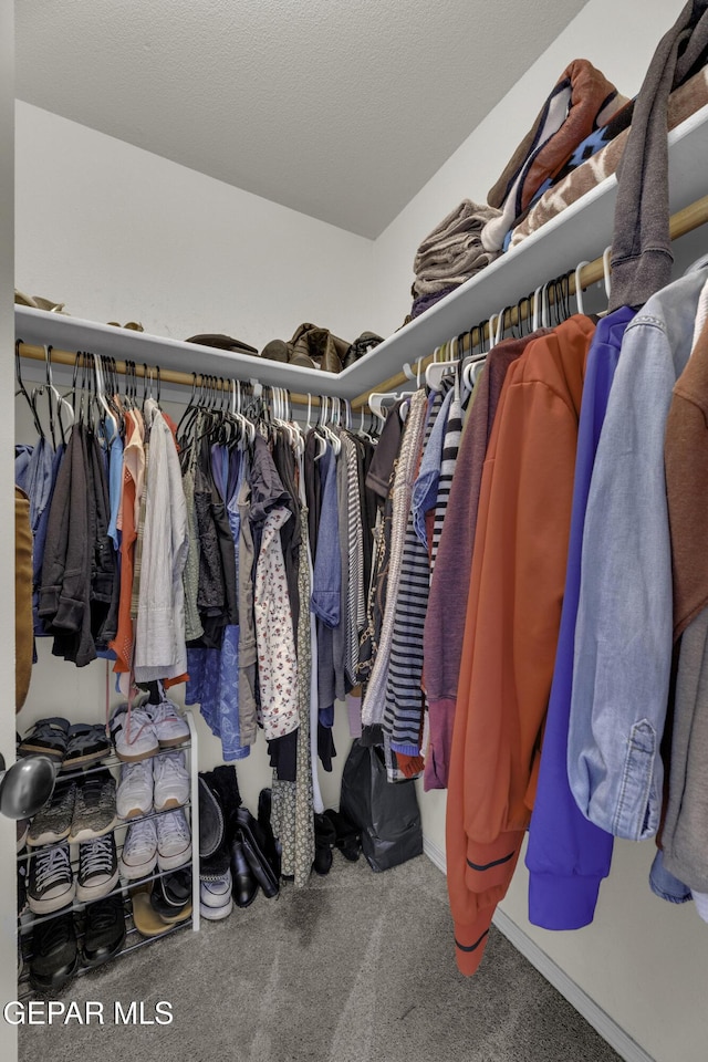 spacious closet with carpet flooring