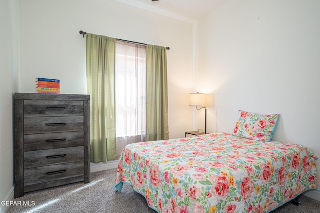 bedroom with multiple windows and carpet