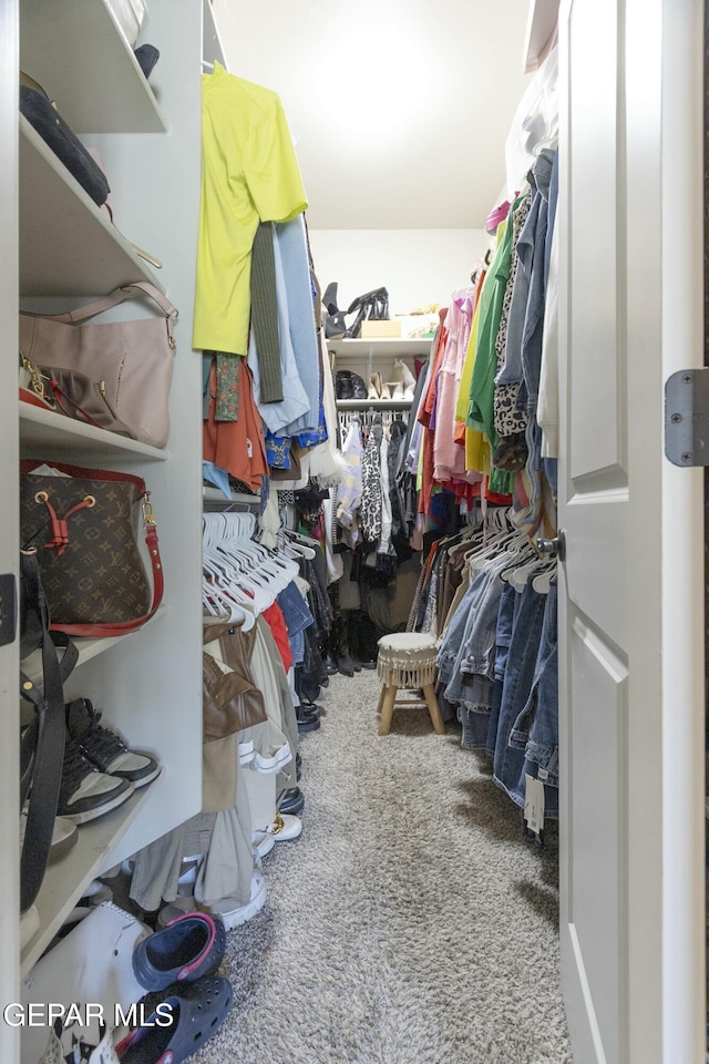 walk in closet featuring carpet floors