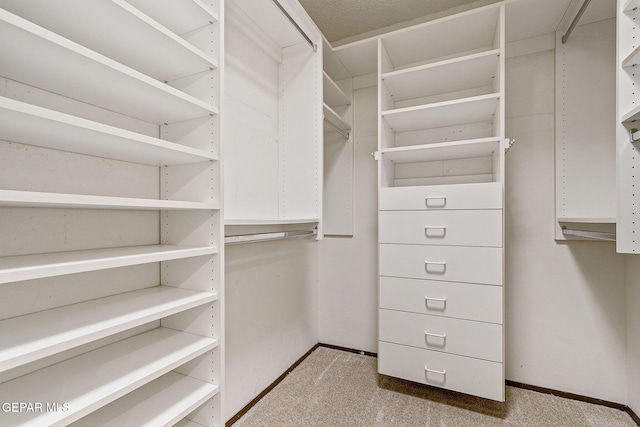 walk in closet featuring carpet flooring