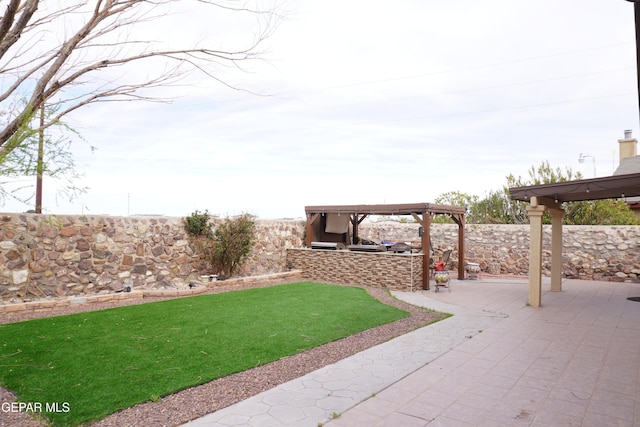 view of yard with a fenced backyard, area for grilling, and a patio