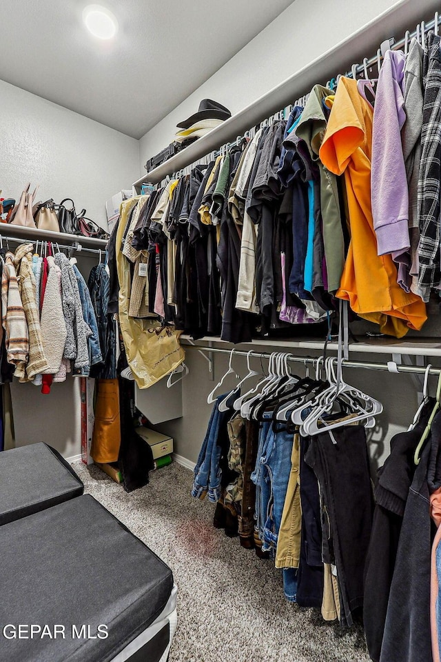 walk in closet featuring carpet flooring