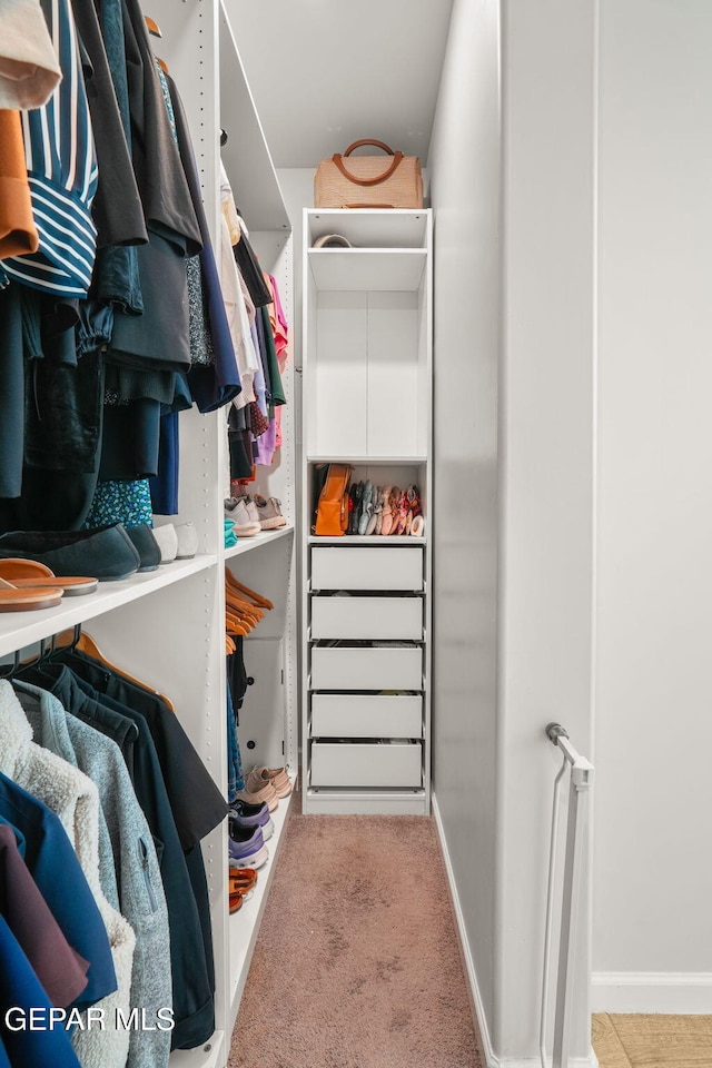 spacious closet featuring carpet flooring