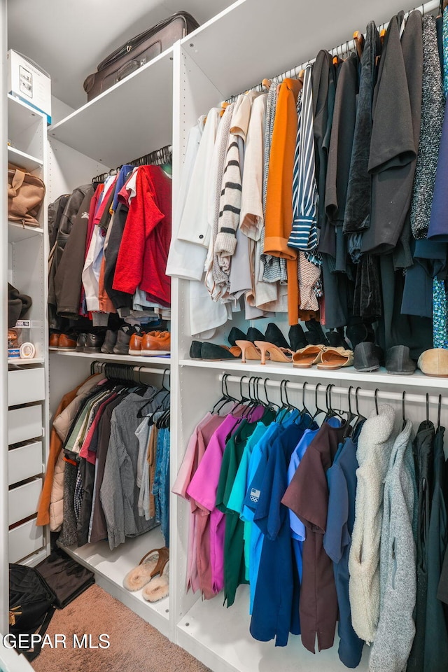 spacious closet with carpet