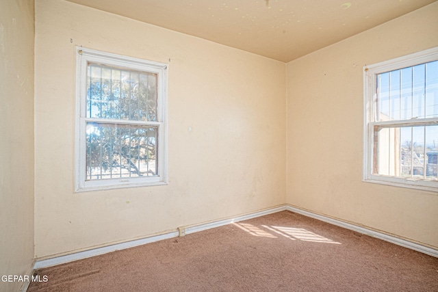 empty room featuring plenty of natural light and carpet floors