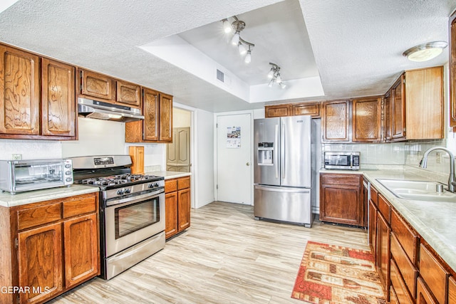 kitchen with visible vents, under cabinet range hood, a tray ceiling, stainless steel appliances, and a sink