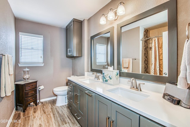 full bathroom with a sink, toilet, and a healthy amount of sunlight