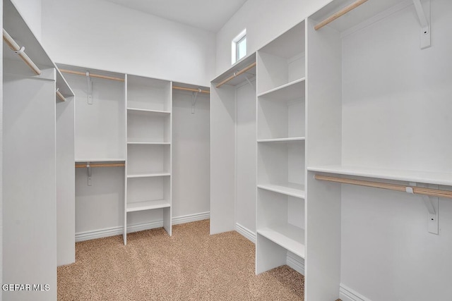 walk in closet featuring light colored carpet