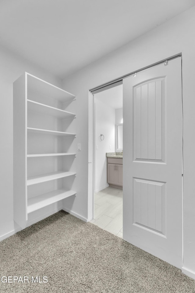 walk in closet with light colored carpet