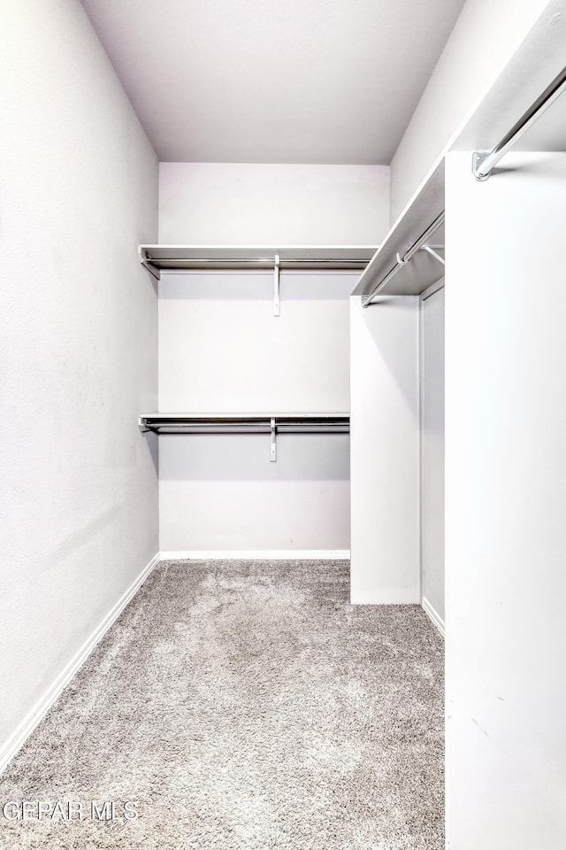 1722 Breeder Cup Way, El Paso, TX 79928 - walk in closet with carpet floors