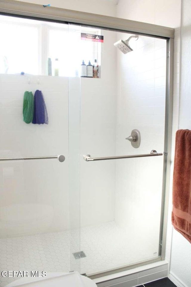 full bathroom with a shower stall