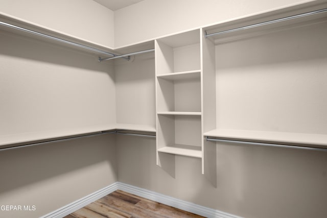 walk in closet featuring wood finished floors