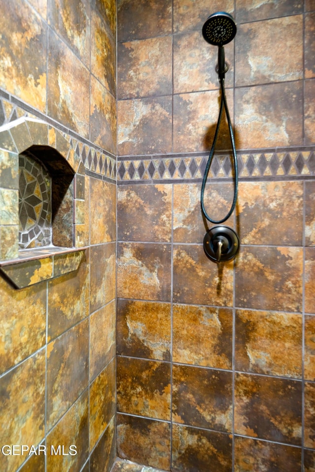 interior details with tiled shower