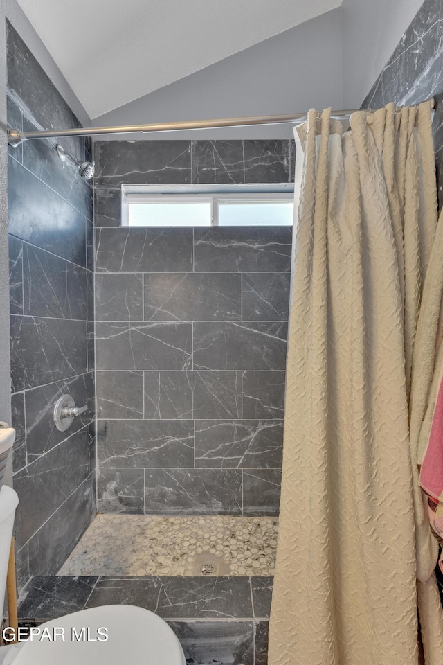 bathroom with a shower stall, toilet, and lofted ceiling