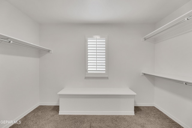 spacious closet with carpet flooring