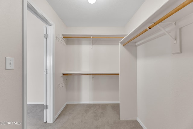 spacious closet with carpet