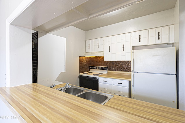 kitchen featuring under cabinet range hood, electric range oven, decorative backsplash, freestanding refrigerator, and a sink