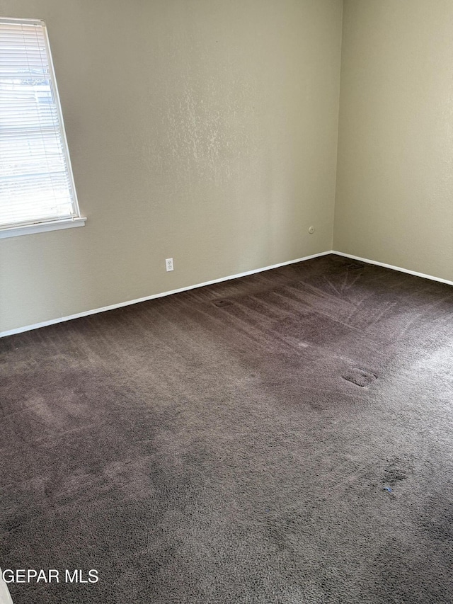 unfurnished room featuring carpet