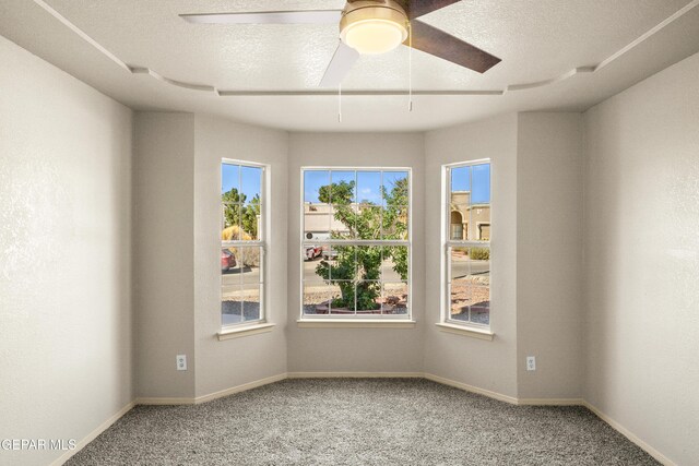 carpeted empty room featuring a healthy amount of sunlight, a textured ceiling, and baseboards