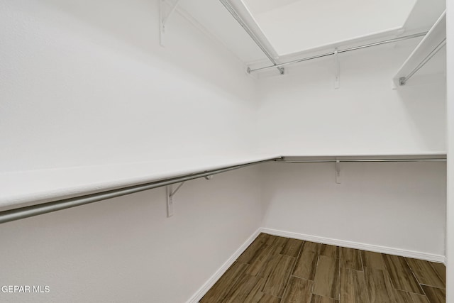 spacious closet featuring dark wood-type flooring