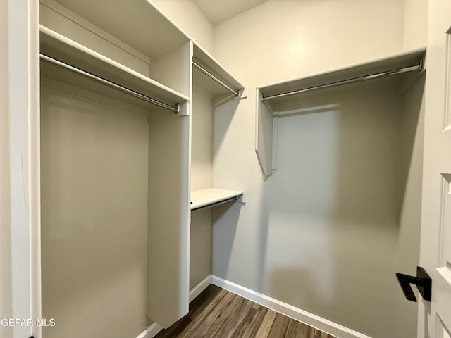 spacious closet with dark wood-type flooring