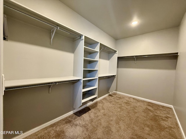 spacious closet featuring carpet