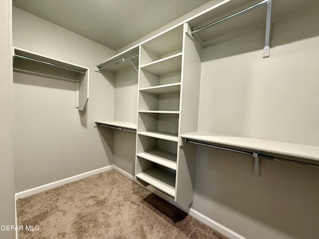 spacious closet with carpet