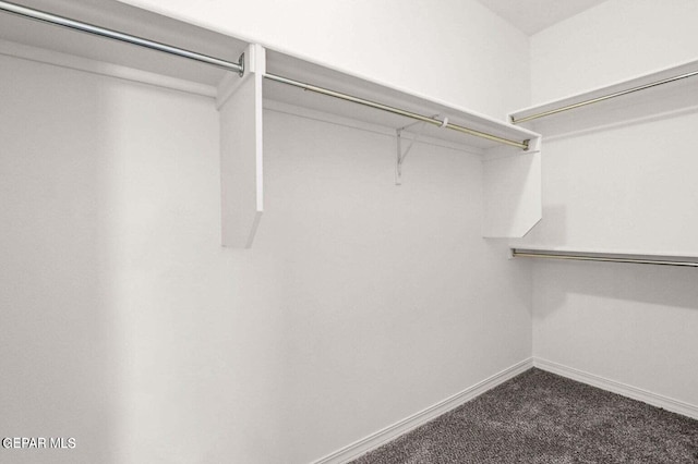 walk in closet with dark colored carpet