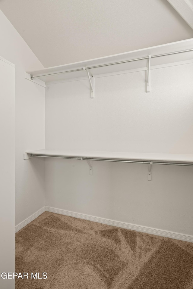 walk in closet with carpet floors