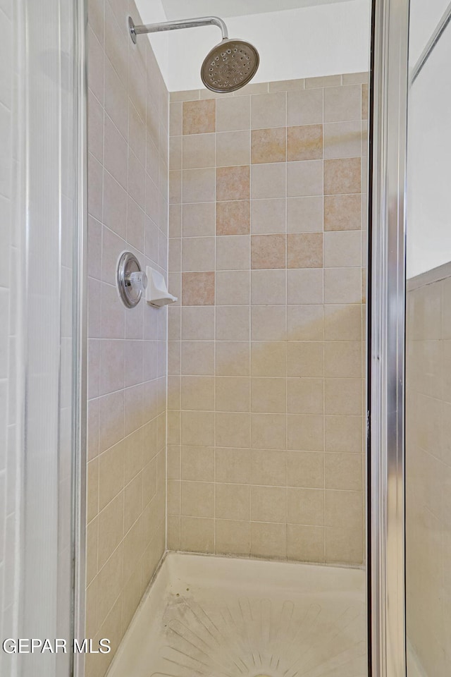 bathroom featuring a shower stall