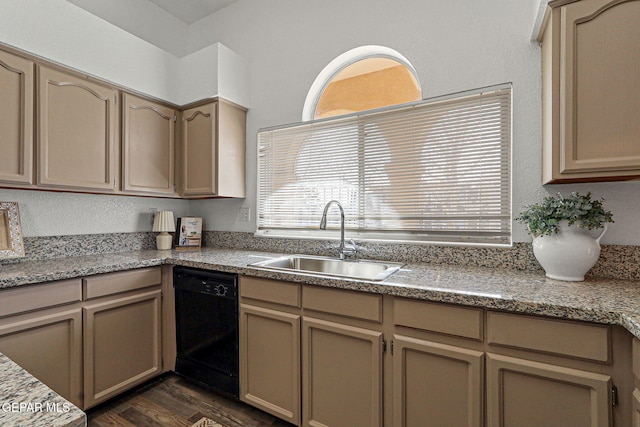 kitchen with dark wood-style floors, plenty of natural light, black dishwasher, and a sink