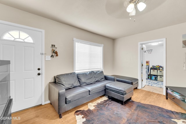 living room featuring a wealth of natural light, ceiling fan, and light wood finished floors